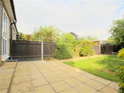 Picture 11